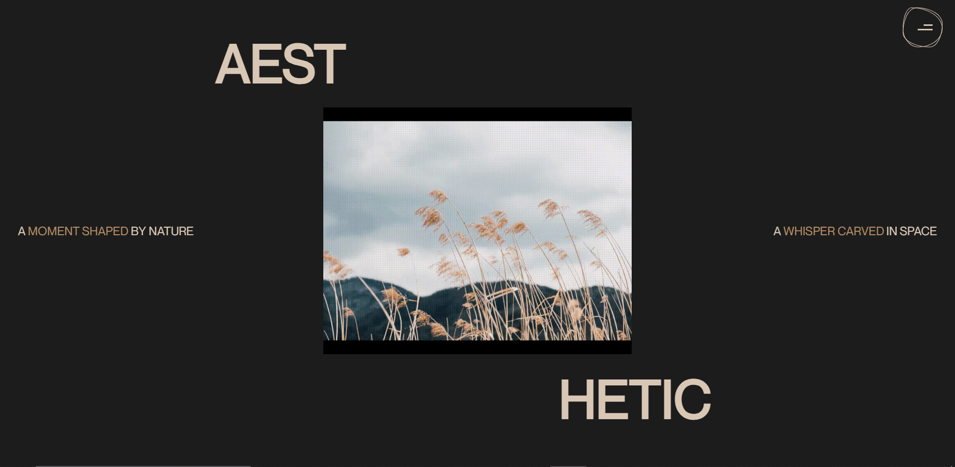 aesthetic web project image